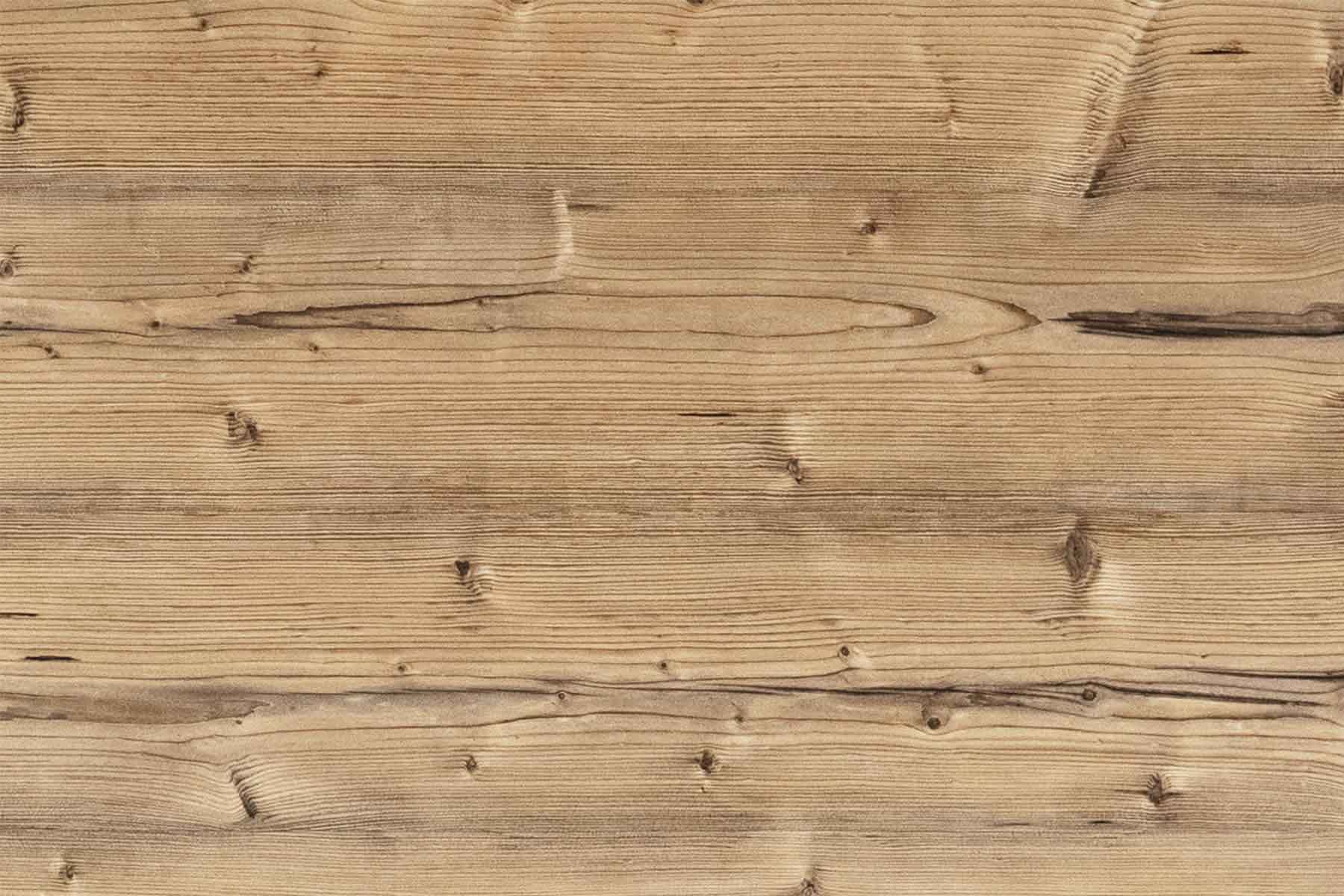 116 Ель золотистая _ 01 _ для сайта 