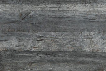 №329 (дуб серебристый )