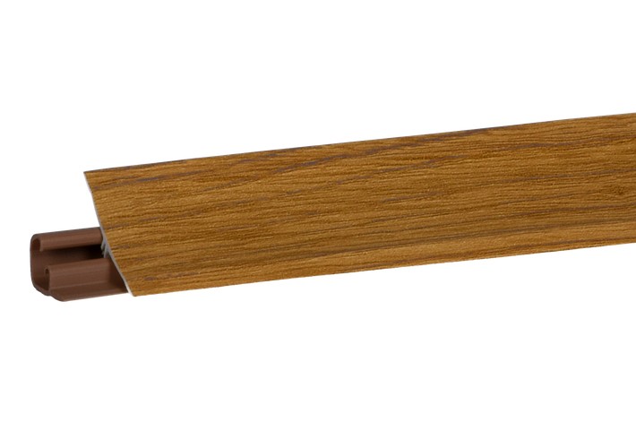 дуб золотистый