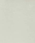 kvs evropa white