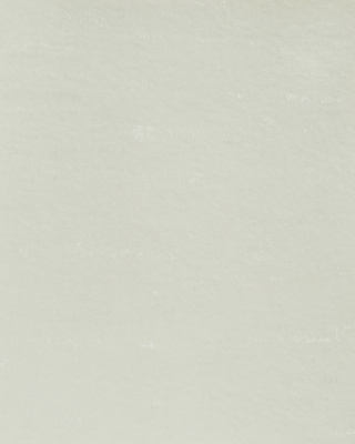 kvs evropa white