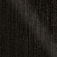 Кромка EVOGLOSS глянец звезда земляная Р244/680