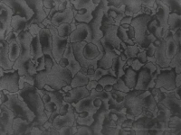 Щит мебельный Скиф №78 (галактика) (3000*600*6мм) ВЫВОД