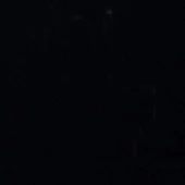 P006